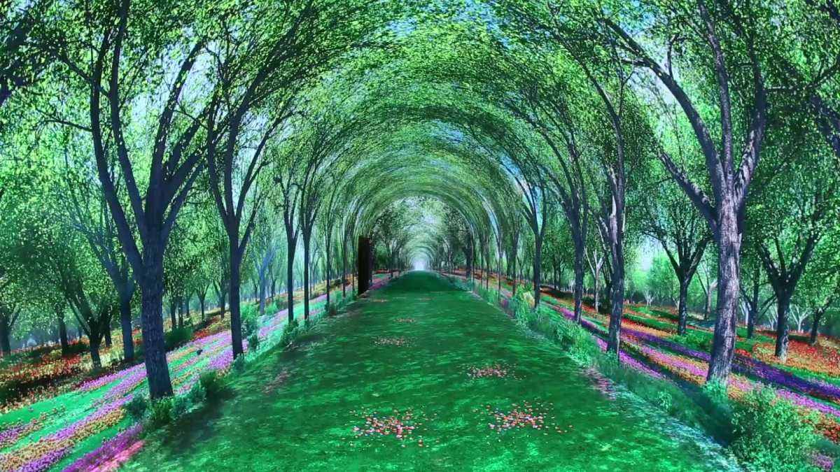 時(shí)光隧道 時(shí)光隧道