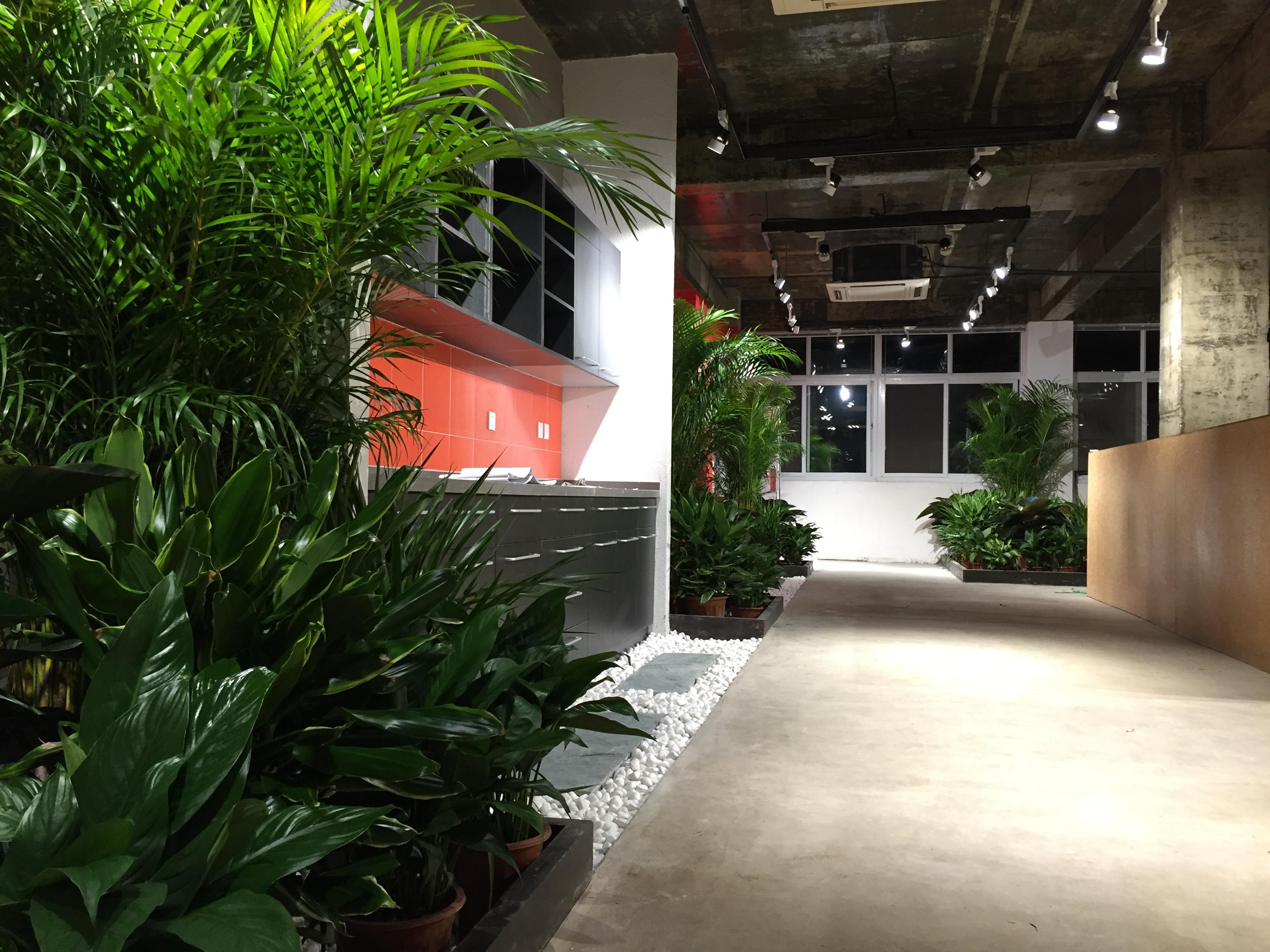 展廳設(shè)計(jì)之綠化布置 展廳設(shè)計(jì)之綠化布置