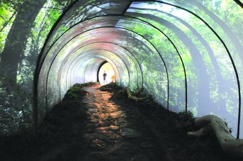 時(shí)光隧道 時(shí)光隧道