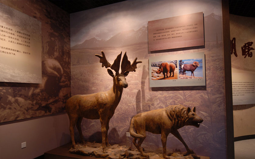 博物館設(shè)計(jì)與施工 博物館設(shè)計(jì)與施工