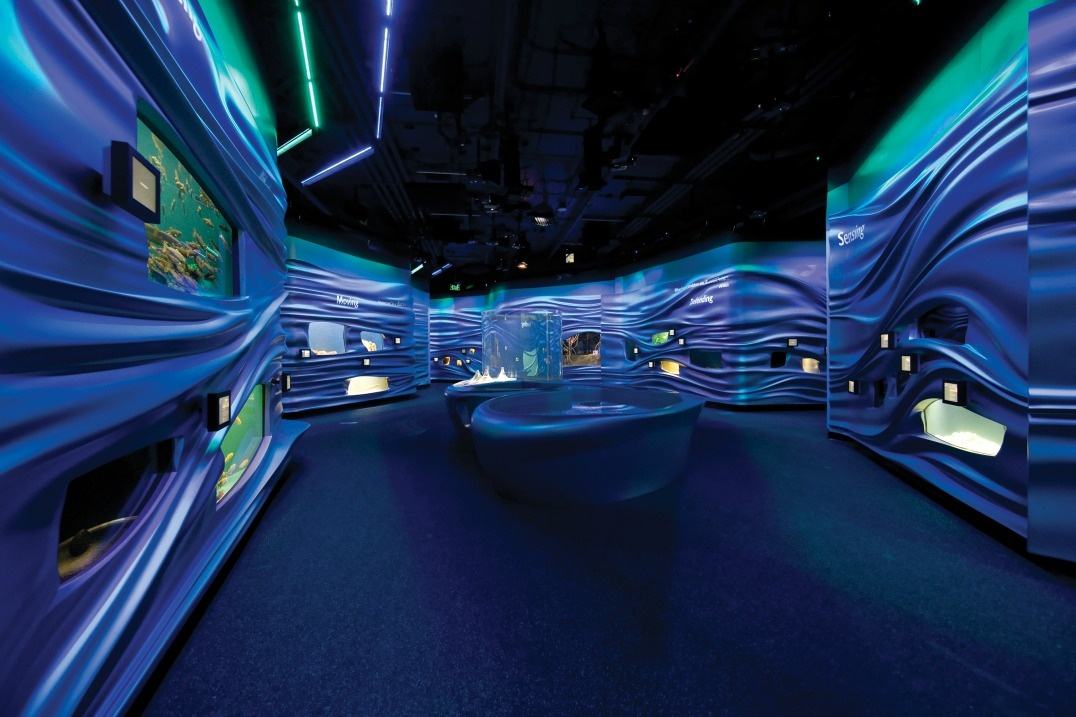 水族館展廳設(shè)計(jì)分析 水族館展廳設(shè)計(jì)分析