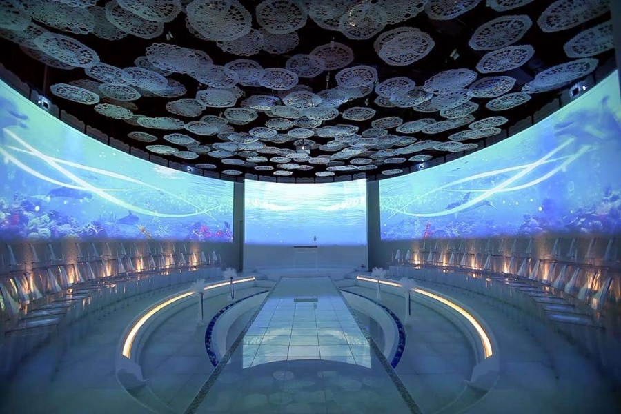 行業(yè)動態(tài)