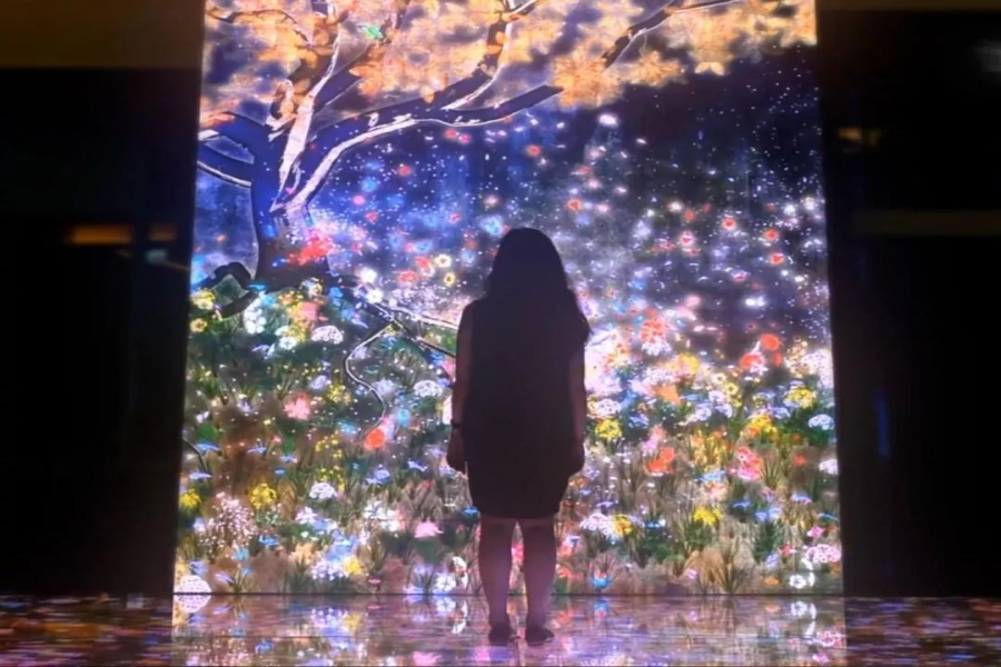 行業(yè)動態(tài)