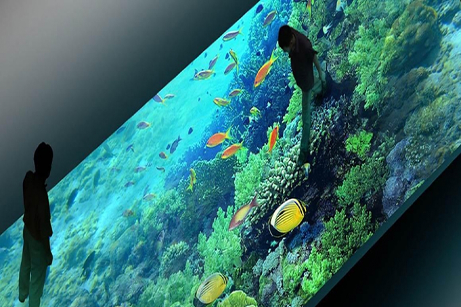 行業(yè)動態(tài)