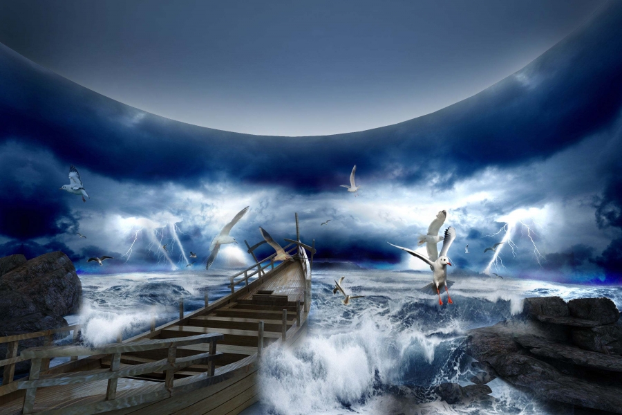 行業(yè)動態(tài)