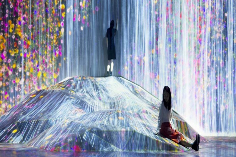 行業(yè)動態(tài)